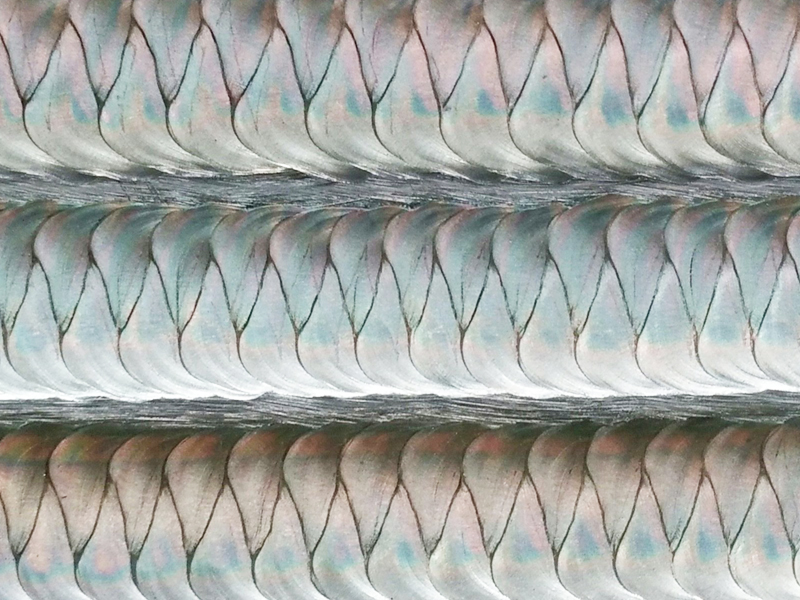 20170606092237_50270.jpg